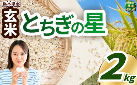 yȖ،^sz_Ƃ񉞉āI 󂠂 ߘa7NxY  2kg Ƃ̐ | ^sY      ͂ Ƃ̐ 嗱  ӂ邳Ɣ[ s \ Ȗ، ^s