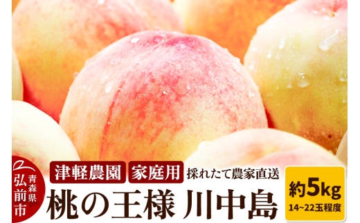 26年8月発送】もも【2026年産 桃の王様 川中島】家庭用 約5kg 14～22玉