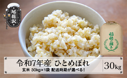 令和7年産 玄米 ひとめぼれ 30kg 30kg×1袋 2025年産 米 お米 国産 山形
