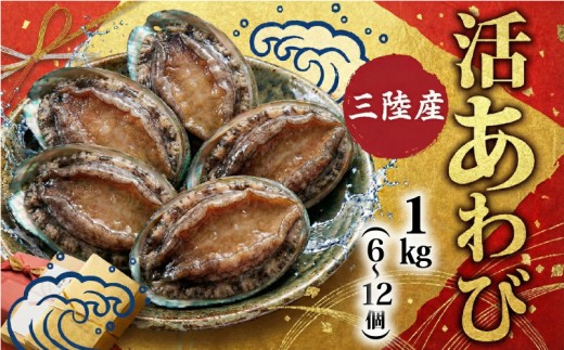 y茧DnszԌ  1kgi6`12j   Ar ڈ΂  ①  Abalone Xe[L  o^[\e[ hg hg  o[xL[ BBQ ͂ ܂ ӎ