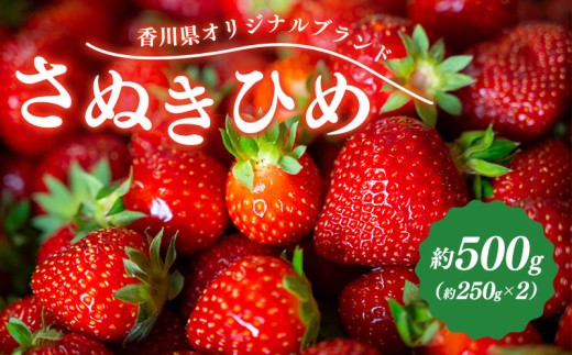 �y���쌧�ۋT�s�z��s�\�� ������ ���ʂ��Ђ� ��500g (250g×2)  �ʕ� �t���[�c � �f�U�[�g �X�C�[�c �P�[�L �W���[�X �[���[ �A�C�X �V���[�x�b�g �W�F���[�g �t���[�c�啟 �h���C�t���[�c �N