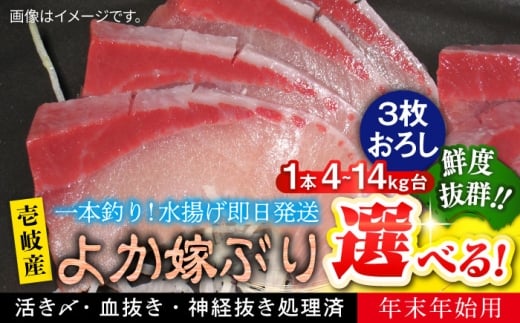 y茧szy12/20`1/5͂z򓇎YVRu 悩łԂi14LE3낵jssty Cz [JBS151]