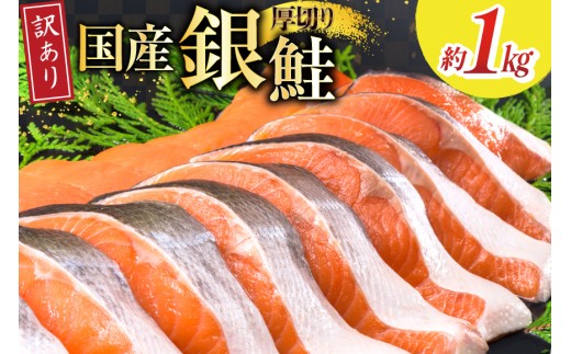 y{錧Csz󂠂 Y  ؂  ؐg v 1kg [{X {錧 Cs 20565949] T[   TP VP  CN  É KiO s ؐg ؂g  