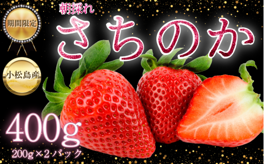 yszy2026N2{z@̂  Iׂe 400g  C`S Xgx[ strawberry t[c ʕ { ʌ Ԍ Yn ichigo s