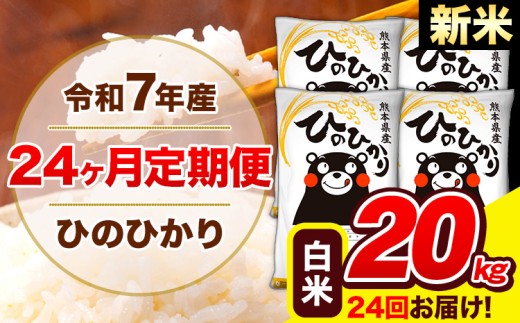 yF{Fz V ߘa7NY   Aܕi Ђ̂Ђ y24z   20kg qmqJ F{Y(FY܂)  s\݌̗o׊JntF ӂ