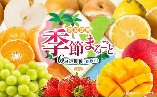 y{茧zy 6ցz{ lC t[c 썑{Y }S[ VC}XJbg    ݂ k Ԃǂ ʕ lߍ킹 {茧 BB-2R[X M220