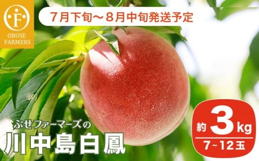 y쌧z{z쒆P 3kg 7`12 mԂt@[}[Ynʕ t[c    N[ ① 쌧Y MBY  ߘa8NYy2026N7{`8{zmF-14n