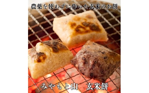 ytxsz_g킸ɍ100̌Ė ^   `   Ė Ă ؂ 6pbN 12pbN ݂ƎR t xs 