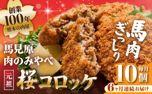 yF{uszyS6ցzF{ RbP n RbP 10 (5×2P)ŷׁ݂z [AYDM015]