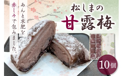 yX܏쌴sz܂̊ØI~ y10zؖفi΂jƋɒЂԃV\ŕ񂾂َq  ܏쌴s