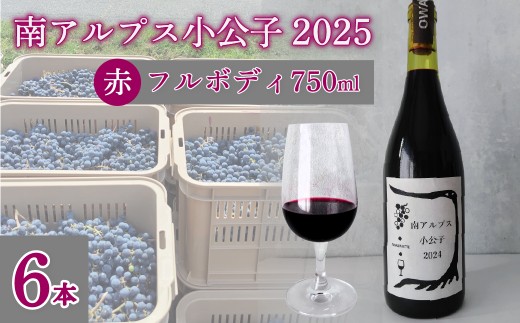 yRAvXszyRhzt{fB15xԃC AvXq2025@@6{ ALPEL010