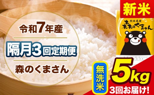 yF{ʓzyu3ցzV ߘa7NY   X̂܂ 5kg s\ݗoׁt F{Y Pꌴ X F{ ʓ