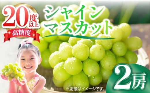 y茧쓇szy2026N9{?zyʌz̒łӂʏ`嗱 VC}XJbg 2[ 1.3kgȏ / 쓇s / cʎ [SFN001] VC}XJbg s\ uh