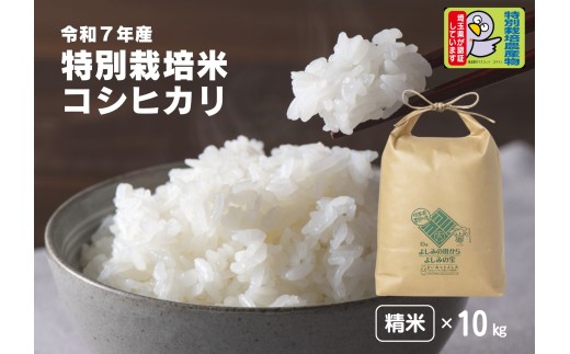 yʌgzyߘa7NYzʌSgY ʍ͔|ăRVqJyāz10kg