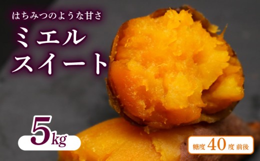 ym썑szyV𔭑Jnz ~GXC[g 5L Tc}C   ~GXB[g  XC[c V V Ă Ă Ĉ ₫ m 썑s