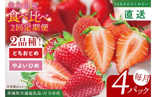 �y��錧�������z�y��s�\��2������1��ڔ����z�y��錧���ʕԗ�i/�s���s�Y�z�H�ה�ׂ������E2�����ցu�Ƃ����Ƃ߁v�u��悢�Ђ߁v(4�p�b�N��×2��)|�Â� � ���_��͔| (96-03)