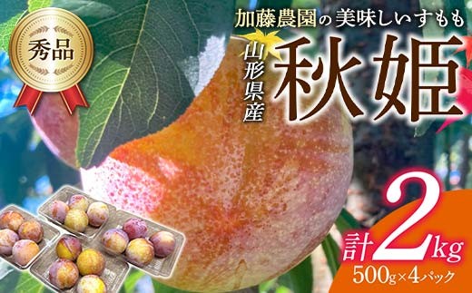 yR`zss\ 2026Nxt_̔uHPv500g×4pbN     fU[g t[c ʕ  ʎ Hi R` FSY-1832