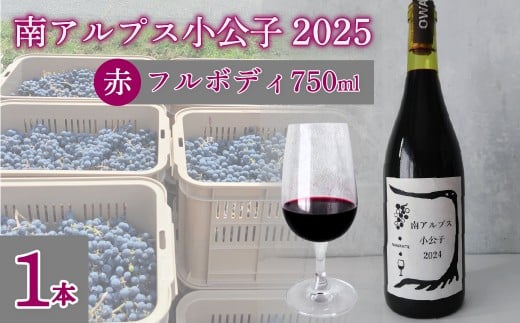 yRAvXszyRhzt{fB15xԃC AvXq2025@@1{ ALPEL008