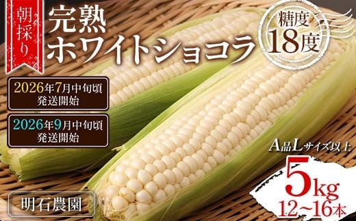 yR`zyIׂzys\ 2026Nxz ̂聄 nzCgVR Δ_ x18x 5kg Ƃ낱 R`Y Ai LTCYȏ FSY-1294