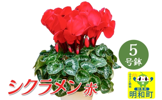 yQnazVNiԁj 5  ĕȒP ~̉ Ԍ聄