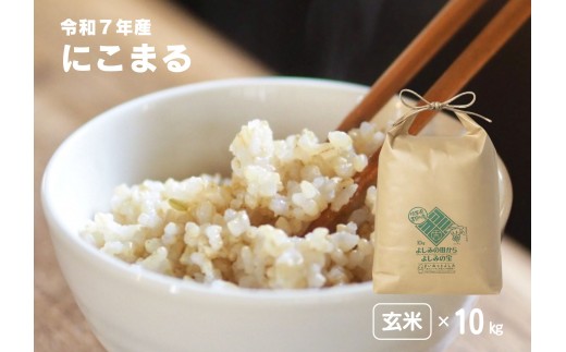 yʌgzyߘa7NYzʌSgY ɂ܂yāz10kg