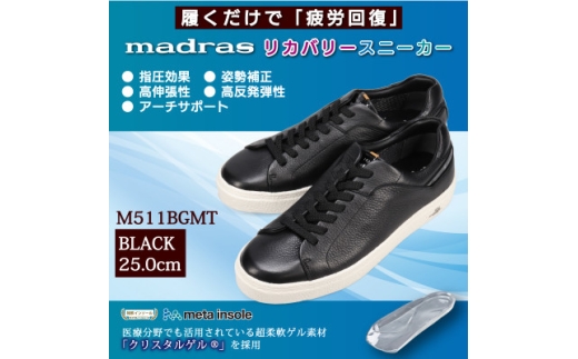 ymzŁwJmadrasJo[V[Yw  M511BGMTubN 25.0cmy1616750z