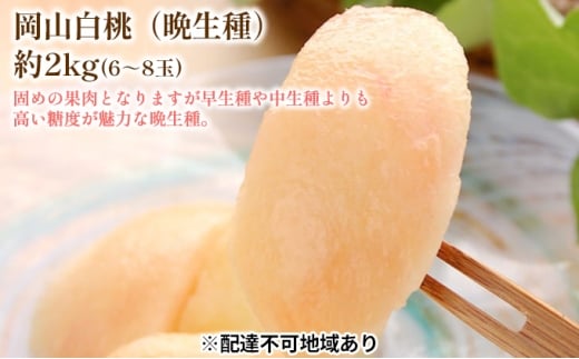 yRʖszł߂  2026N s\  Ӑ 2kg 6`8   R Y t[c ʕ Mtg Ύ