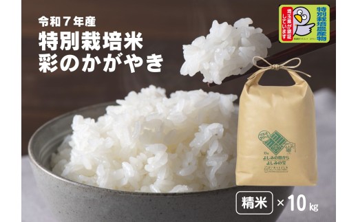 yʌgzyߘa7NYzʌSgY ʍ͔| ʂ̂₫yāz10kg