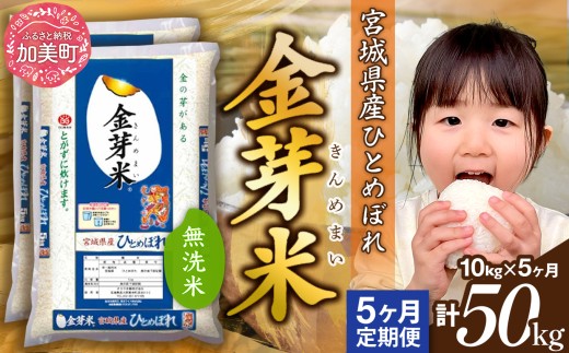 y{錧zy 5z   ߘa7NY {錧Y ЂƂ߂ڂ v50kg( 10kg ×5) [JC {錧  km-my-knm10-t5-r7] 5    R   ߂܂