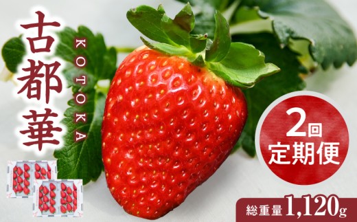 yޗǌszy1`3zuÓs؁v@2