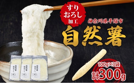 y_ސ쌧ˎszR ⓀRi肨낵Hρj ˂񂶂{s ϔ _ސ쌧 ˎs