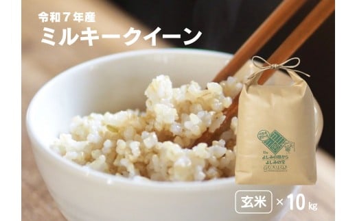 yʌgzyߘa7NYzʌSgY ~L[NC[yāz10kg