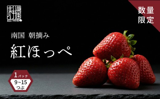 ym썑szs\  gق i 1i1pbNF9`15j 2026N1Jn |  I  ґ 蕨 Mtg v[g     ʕ 