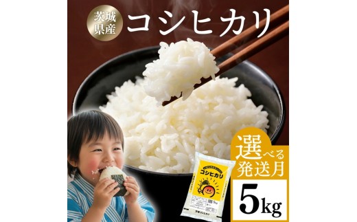 y錧푍szyIׂz 5kg V ߘa7NY 錧Y RVqJ b ꓙ  lC  Iׂ    Ђ RVqJ5kg R  uh R7NY 