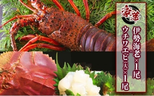 ymmzE`Gr()×1ɐCV×1̍؃Zbg@ Y mY VR VN CN hg Ă {C l  j LO 蕨  Zbgi S218