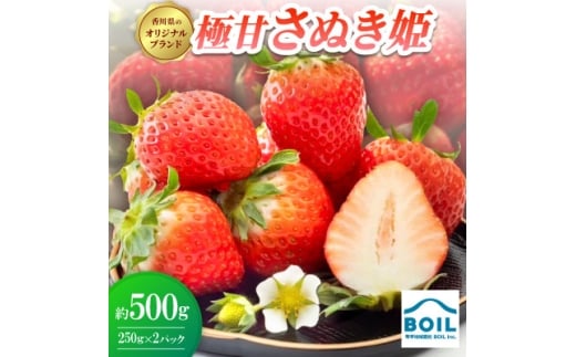 y쌧zɊÂʂP@500g(250g×2pbN)y1678249z