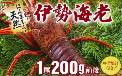 ymmzɐCV VRق܂I200gOいy₷NxQⓀzhgnj Y mY VR VN CN Ă {C l  j LO 蕨  