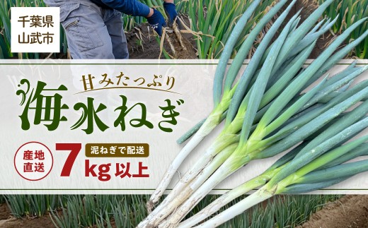 山武市限定栽培】泥ネギでドドンと配送！ミネラル豊富で甘みたっぷりの