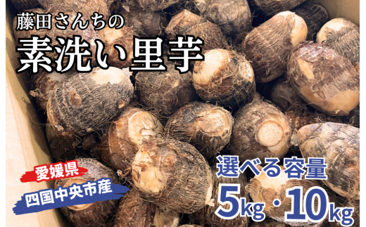 藤田さんちの素洗い里芋 （四国中央市産） 5kg 10kg - 愛媛県四国中央