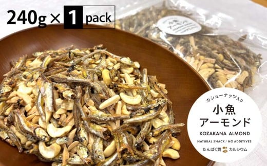 y쌧֒zA[h JV[ibc 240g A[htBbV َq   ܂  ۑH `bNt N @[5675-1519]