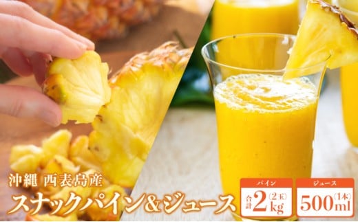 yꌧ|xz2026N s\ nNXibNpC2kg i2ʁjƊÂƋlߍ100 pCibvW[X 1{