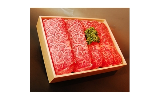 yɌqz_˃r[t@[XXCX@700g@ɌY@Yy1128469z