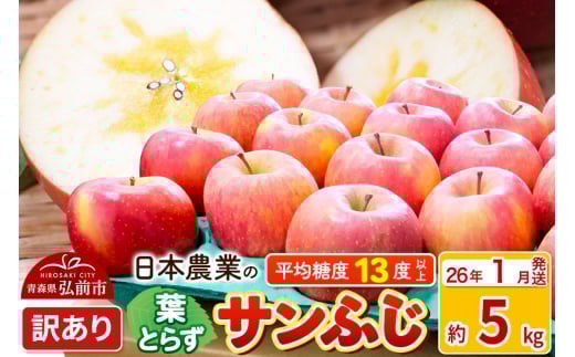 yXOOszy26N1z ϓx13xȏI tƂ炸Tӂ 5kg 󂠂 X ʕ t[c ь S  s KiO