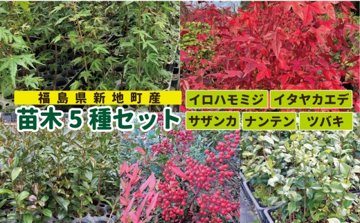 yVnzVnY c5ZbgiTUJECn~WEieEC^JGfEcoLj |  c lC   R   Vn   X R