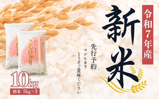 yszNo.2381啶čXyߘa7NYVā@s\z RVqJ 10kgi5kg×2j