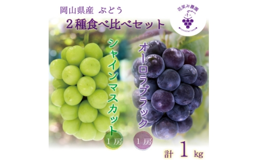 yRÎRsz2026NstR@ԏ΂ݔ_́wI[ubN&VC}XJbgx1kg(2[)ASy1629359z