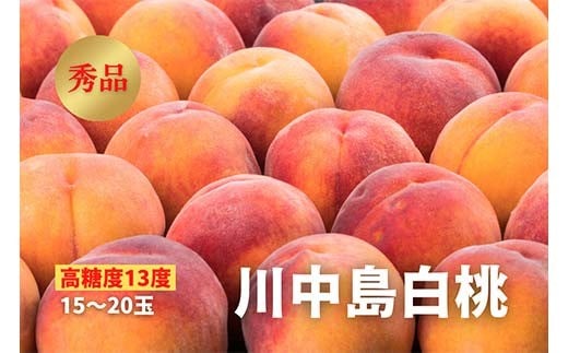 yR`zs2026Ns\tyx13xz쒆 Gi 15`20     fU[g t[c ʕ  ʎ Hi R` FSY-2504