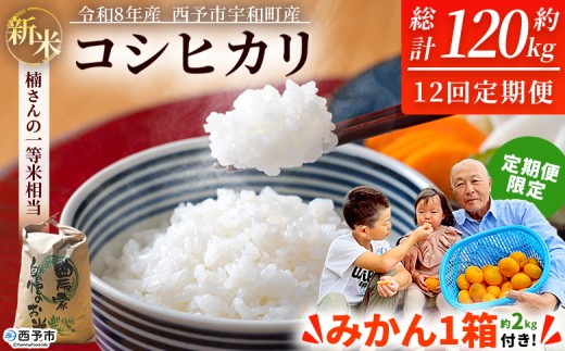 yQ\szys\z_݂ĂI^V ߘa8NY RVqJ 10kg 12 {iւ̂݁jB݂2kg \sFaY   킳̈ꓙđ I