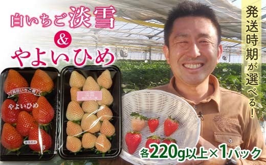 yQnxszQnYZbg 悢Ђ߁EW၄y2026N14?331z (e220gȏ×1pbN) QnY IWii   C`S 悢Ђ C`S W H