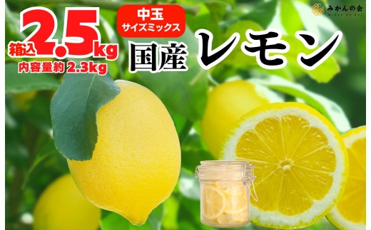 ya̎RLc쒬z  Y 2.5kg(eʖ2.3kg) Gi L 2L 3L TCY~bNX a̎RLcY ỷ݂z